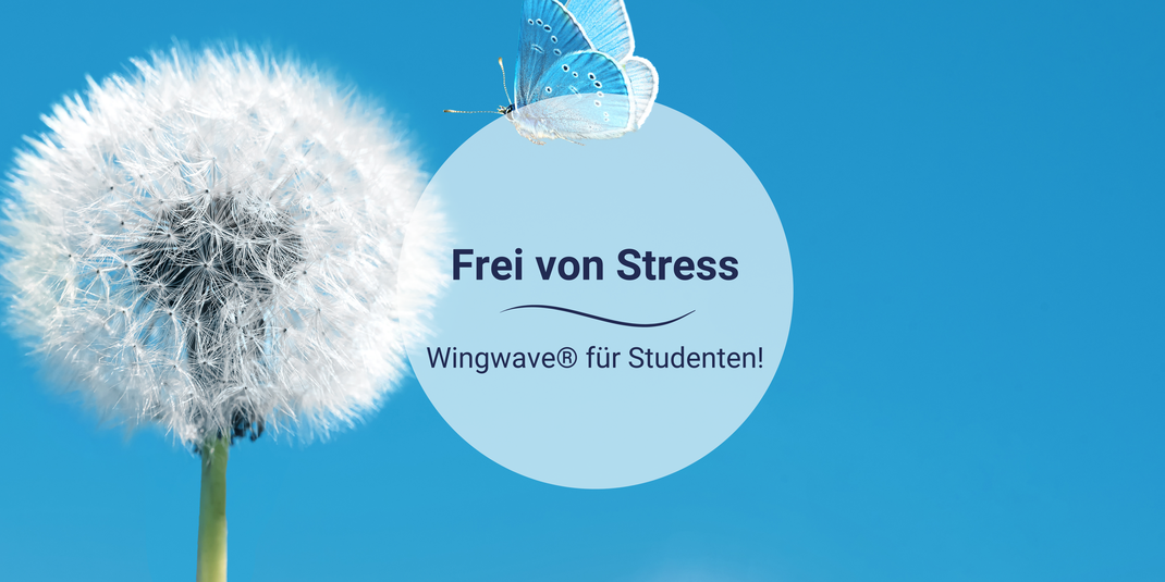 Pusteblume als Symbol für mehr Leichtigkeit im Studium  mit wingwave Coaching
