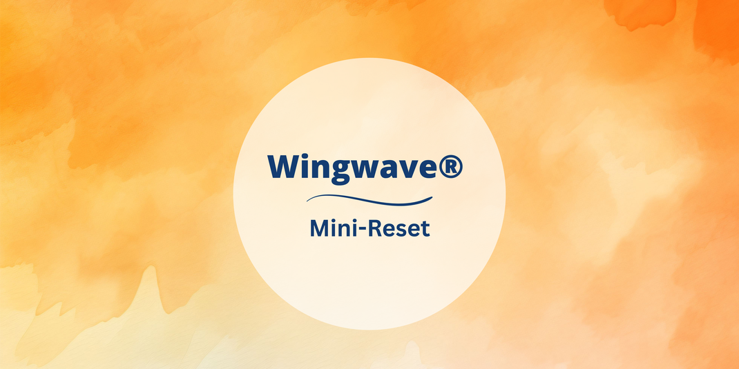 wingwave Selbstcoaching - So wendest du wingwave selber bei dir an