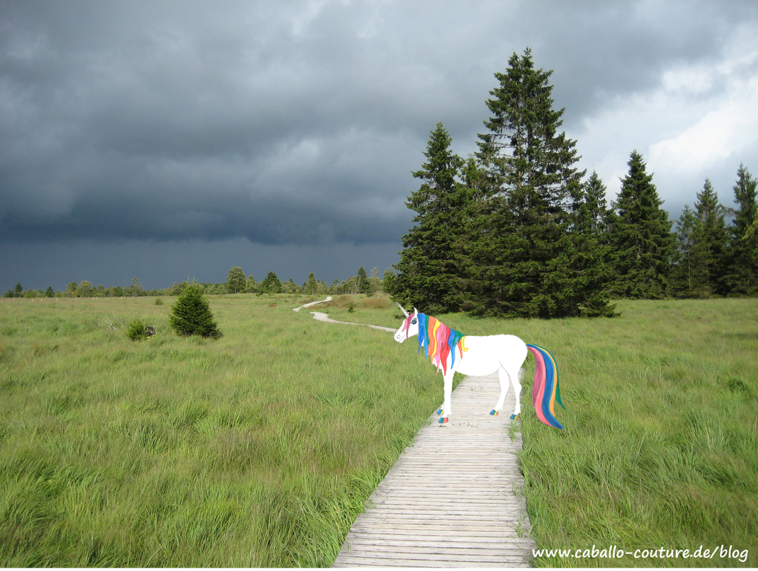 Caballo Couture; Einhorn; DIY; Kinder; Bastelidee Kinder; Upcycling; Fantasie; Phantasie; Bastelanleitung; T-Shirt bemalen; Unicorn; Kinderfreizeit; Ferienfreizeit; Kindermode
