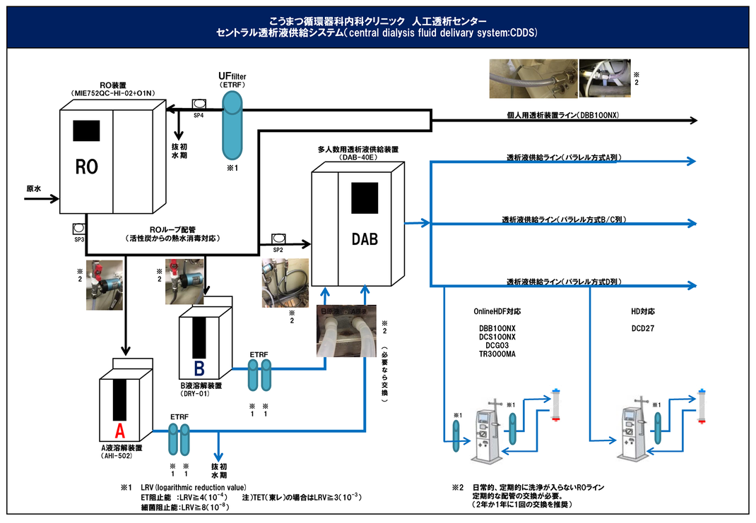 血液循環系模型 (透視式)♡ 血液循環系模型 透視式 : 学林舎 - 通販