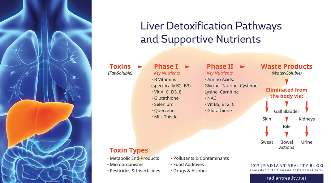 Radiant Reality Blog | Healthy Hormones | Liver Detox Pathways