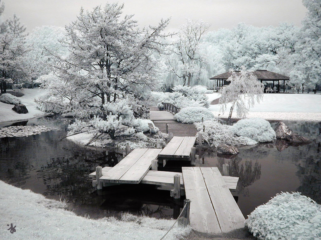Jardin paysagiste hiver