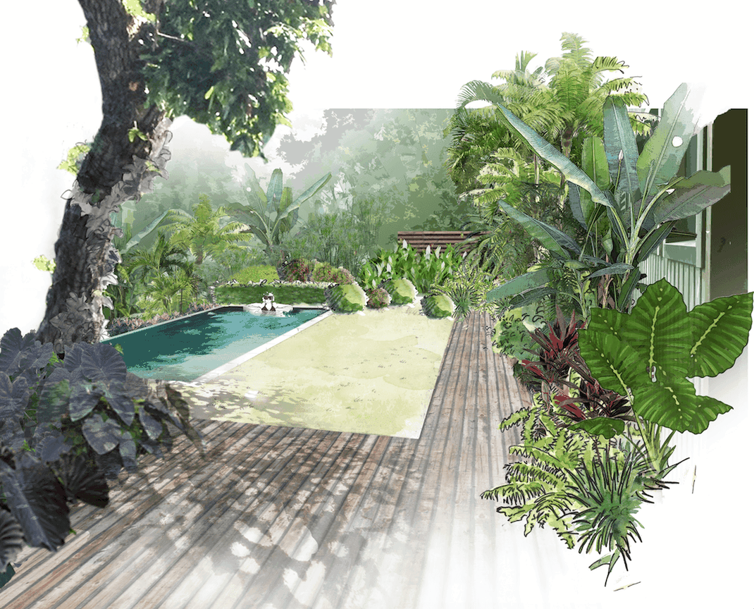 Jardin Tropical Rc Paysage