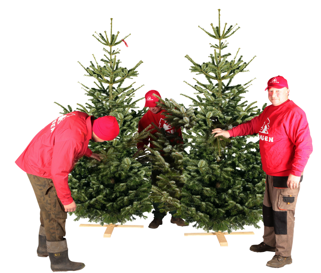 Kontakt Weihnachtsbaum Hamburg