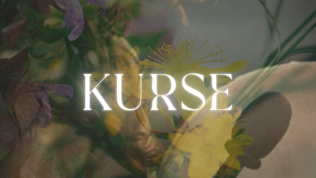 Human Design, Business, Business Coaching, Selbständigkeit, selbständige Frauen, Human Design Coaching