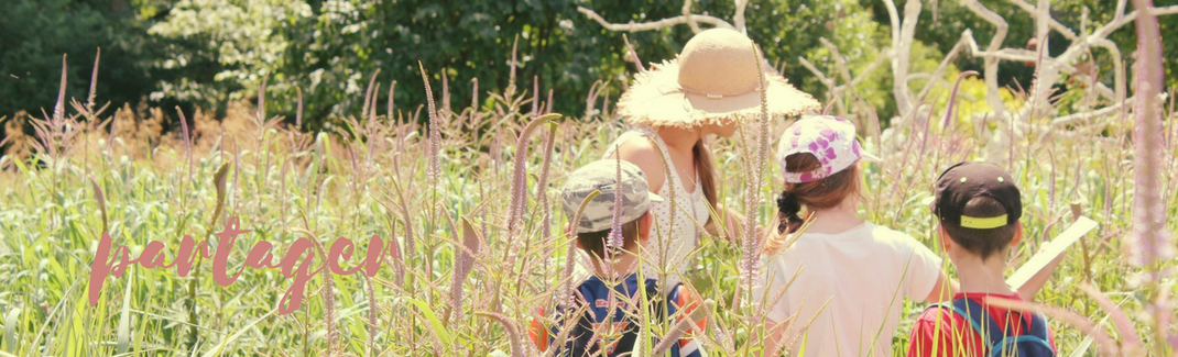 Ateliers pour familles et enfants en Touraine (Indre-et-Loire)