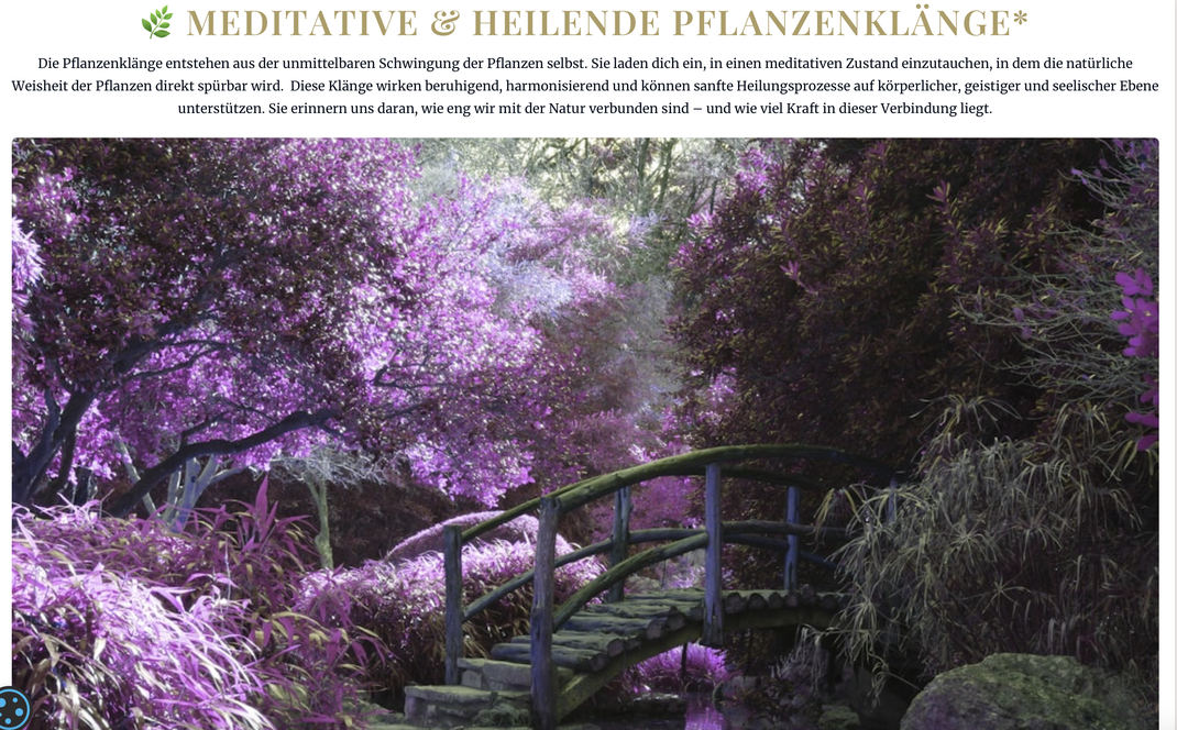 The Sound of Plants von Martina M. Schuster