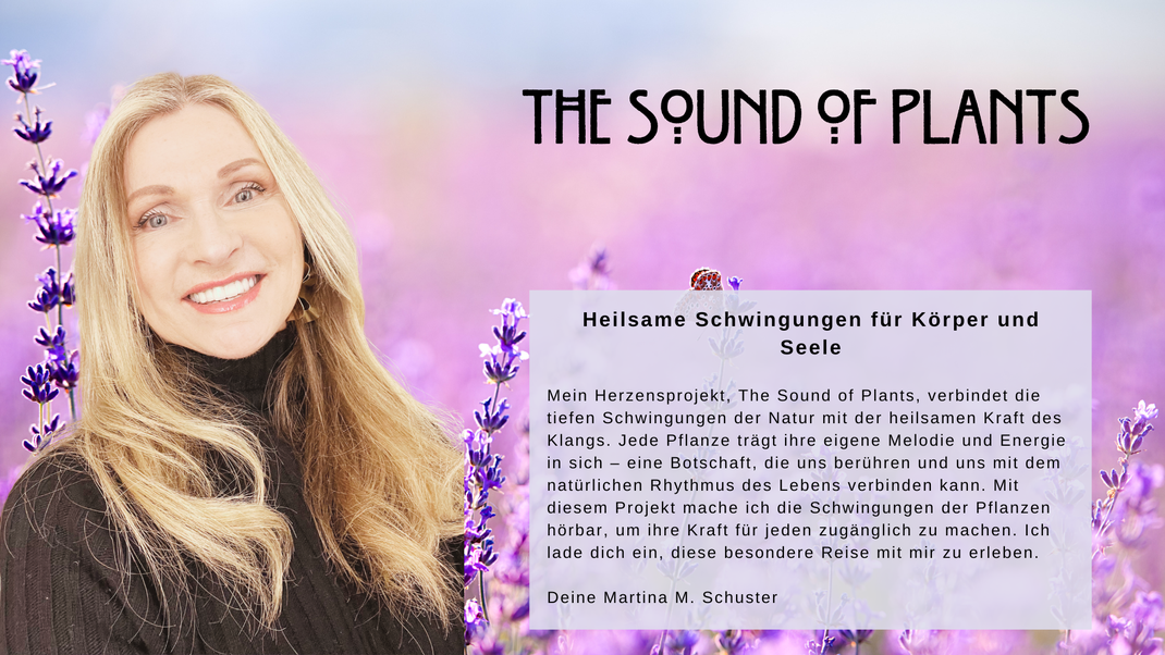 The Sound of Plants - Das Projekt von Martina M. Schuster