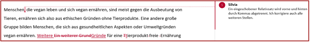 Abbildung: Komma bei eingeschobenem Relativsatz