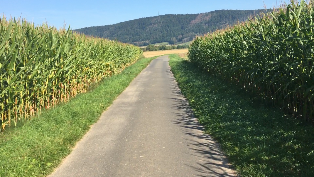 Auf der Höhe von Gottstreu