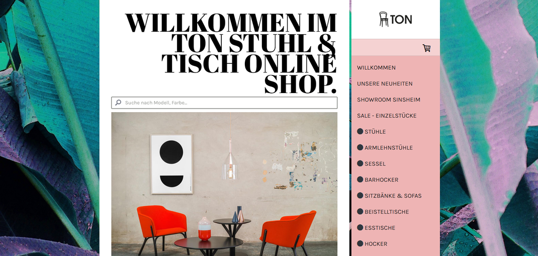 webdesign sinsheim grafik design webseite webseiten gestaltung heidelberg bild&grafik grafikdesign website