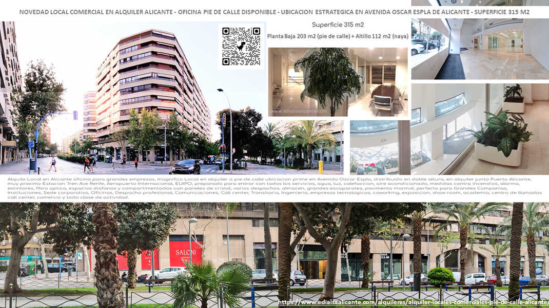 alquiler local prime en Alicante Oficina Representativa Pie de Calle doble altura, 315 m2, disponible para Ocupación Inmediata, sin amueblar junto al Puerto de Alicante 