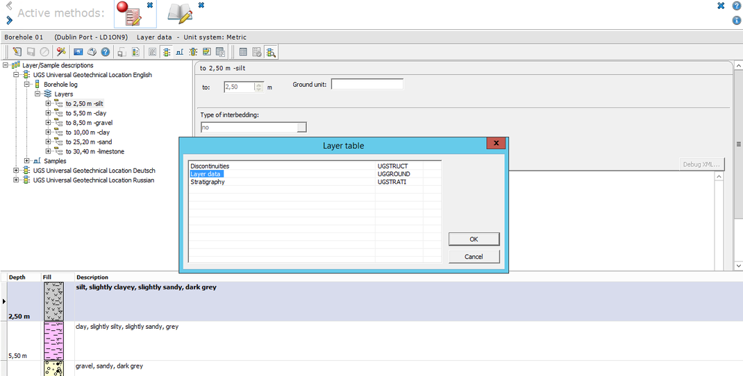 Layer data in three languages with selection window for additional stratigraphy and discontinuities masks