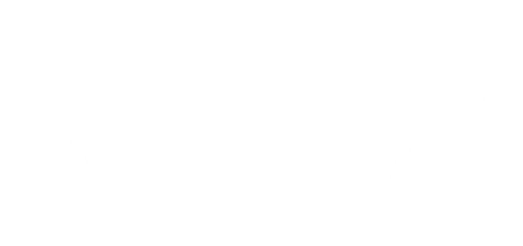 Illustration mit Gabel, Suppe und Löffel – Fivepoints sorgt dafür, dass jedes Produkt zur passenden Zielgruppe findet, wie der richtige Löffel zur Suppe