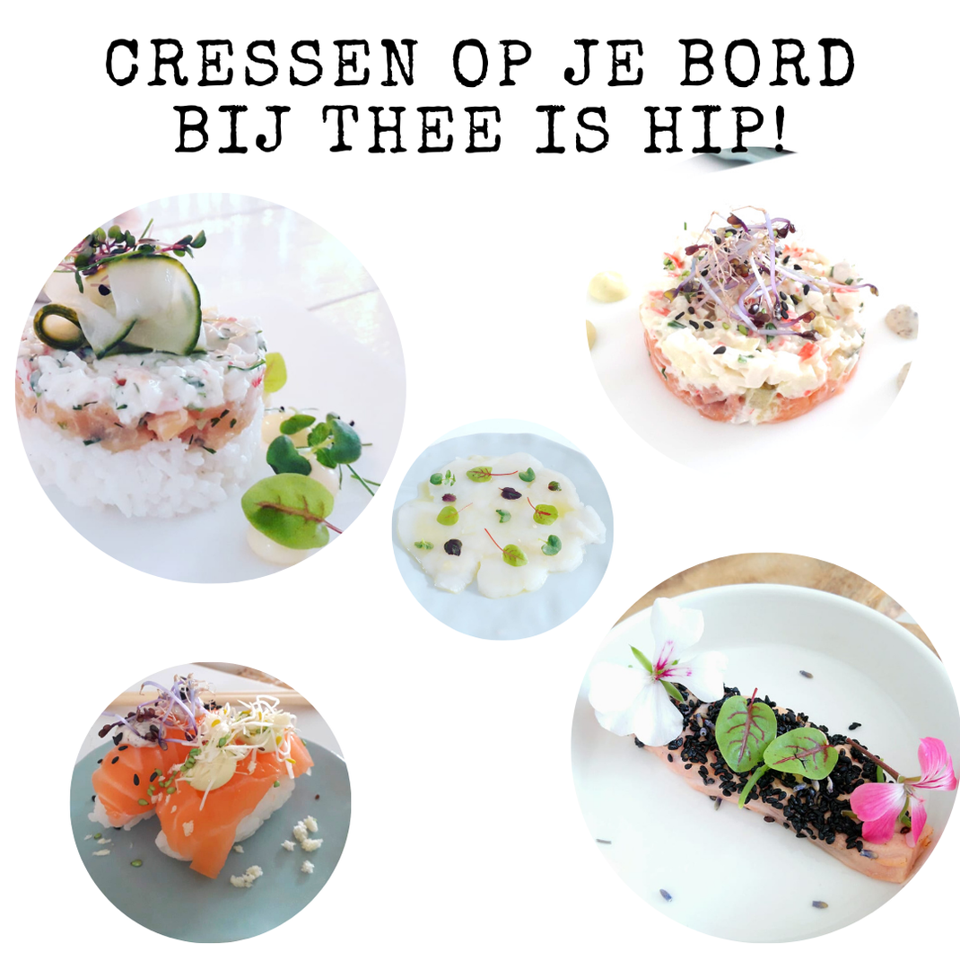 Cressen op je bord bij huiskamer lunchroom Thee is Hip!