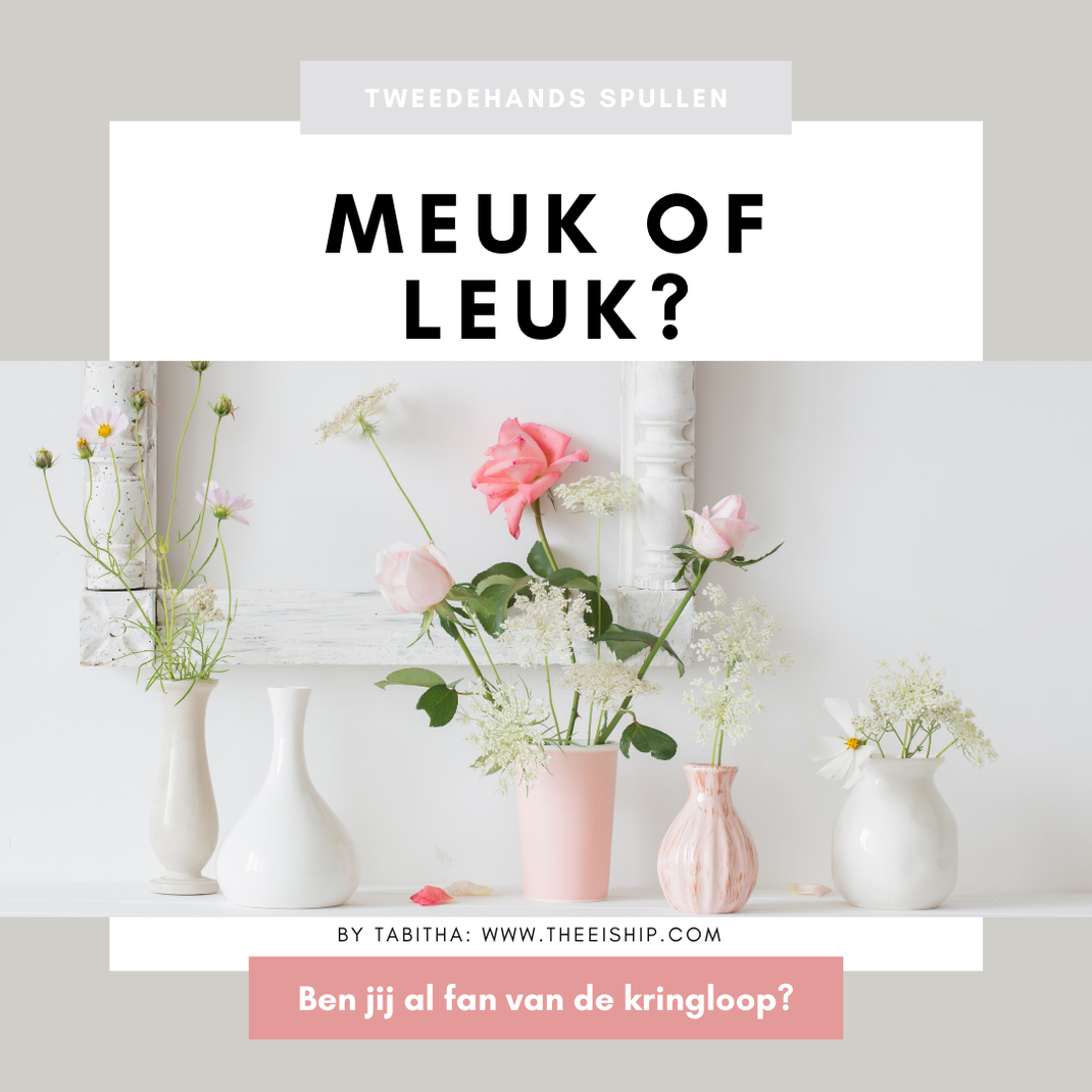 Koop jij tweedehands spullen of alles nieuw? By Tabitha van Dasselaar