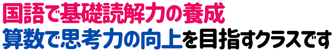 国語で基礎読解力の養成 算数で思考力の向上を目指すクラスです
