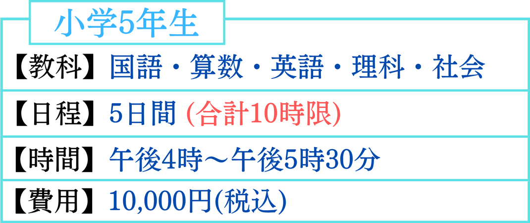 小学5年生　夏期講習