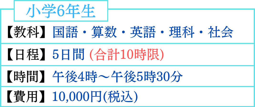 小学6年生　夏期講習