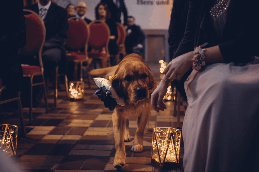 Bild: Freie Trauung in Krefeld, Inspiration für die Hochzeit und freie Trauung, finde Ideen und Tipps für die Hochzeitsfeier und freie Trauung in Düsseldorf, NRW, gefunden auf philosophylove.de aus Düsseldorf, Trauredner Düsseldorf, Trauteam, Traurednerin