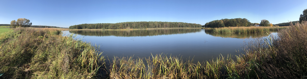 Der Kieferndorfer Weiher bei Sonnenschein. Der Weiher befindet sich in der Mitte des Bildes und ist umgeben mit grünem Gras und einem Wald im Hintergrund.