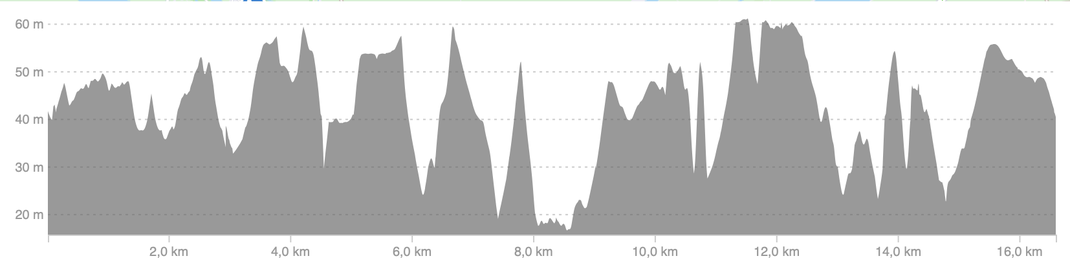 Trailrunning. Kofferbak trailrun. Trailrun kalender. Trailrun Veluwe. Trailrun event.