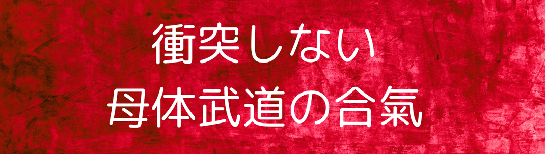 武術に興味がある人も健康に興味がある人も、どちらにもお勧めのセミナーです。