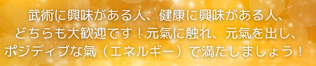 武術に興味がある人も健康に興味がある人も、どちらにもお勧めのセミナーです。