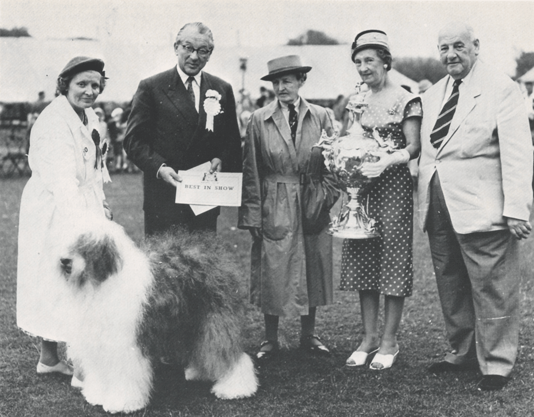 storia-bobtail-primo-campione-razza-tratto-da-libro-tullio-mille