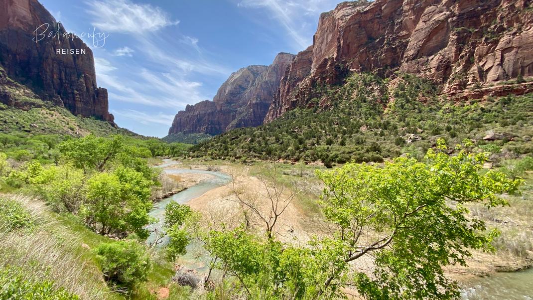 Virgin River im Zion Nationalpark mit grüner Uferlandschaft und roten Felswänden