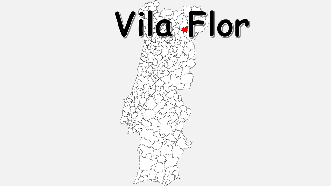 Concelho de Vila Flor