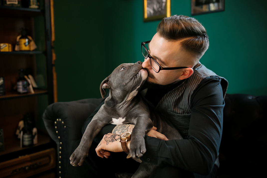 Tierfotograf Hundefotograf Fotograf Fotostudio Hund Welpe Welpen Hunde Fotoshooting Rheinfelden Lörrach Basel Freiburg im Breisgau Bern Bad Säckingen Zürich Hundefotografie Hundeshooting Hundefotoshooting American Pocket Bully Maglio Barbier