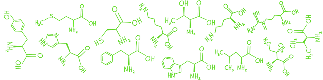 In Coroptyn sind wertvolle essentielle Amonisäuren, semi-essentielle Aminosäuren sowie nicht-essentielle Aminosäuren zur Unterstützung des allgemeinen Wohlbefindens und mehr Leistungsfähigkeit im Alltag und beim Sport enthalten.