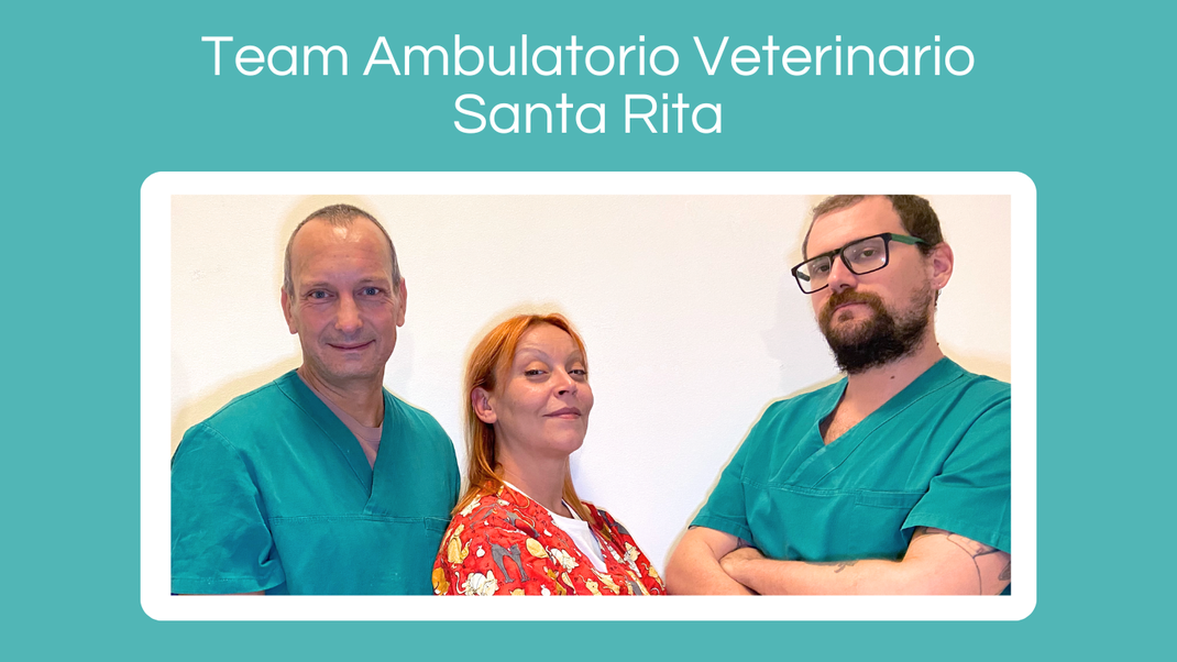 Ambulatorio Veterinario Santa Rita Dottor Luca Re