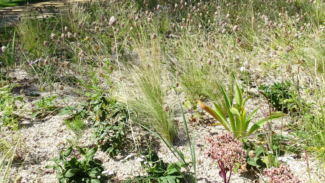 Sandbeet auf der LaGa Beelitz