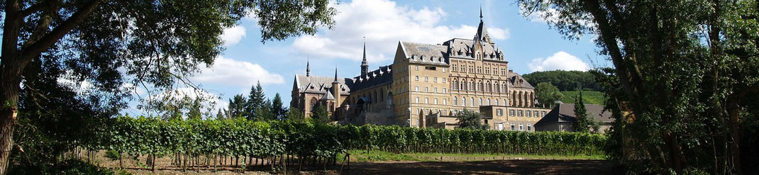 Weinprobe in Ahrweiler im Kloster Calvarienberg