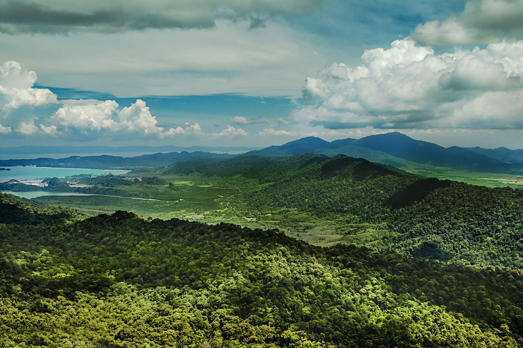 dschungel-regenwald-langkawi-malaysia