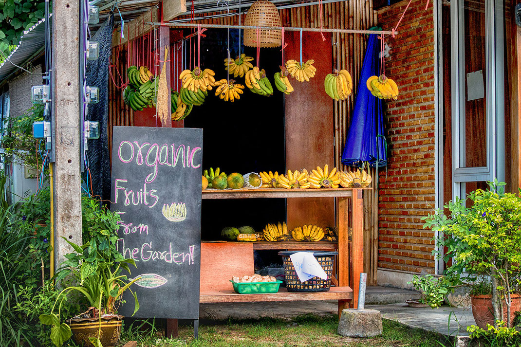 typischer-obststand-auf-thailands-inseln-koh-phangan