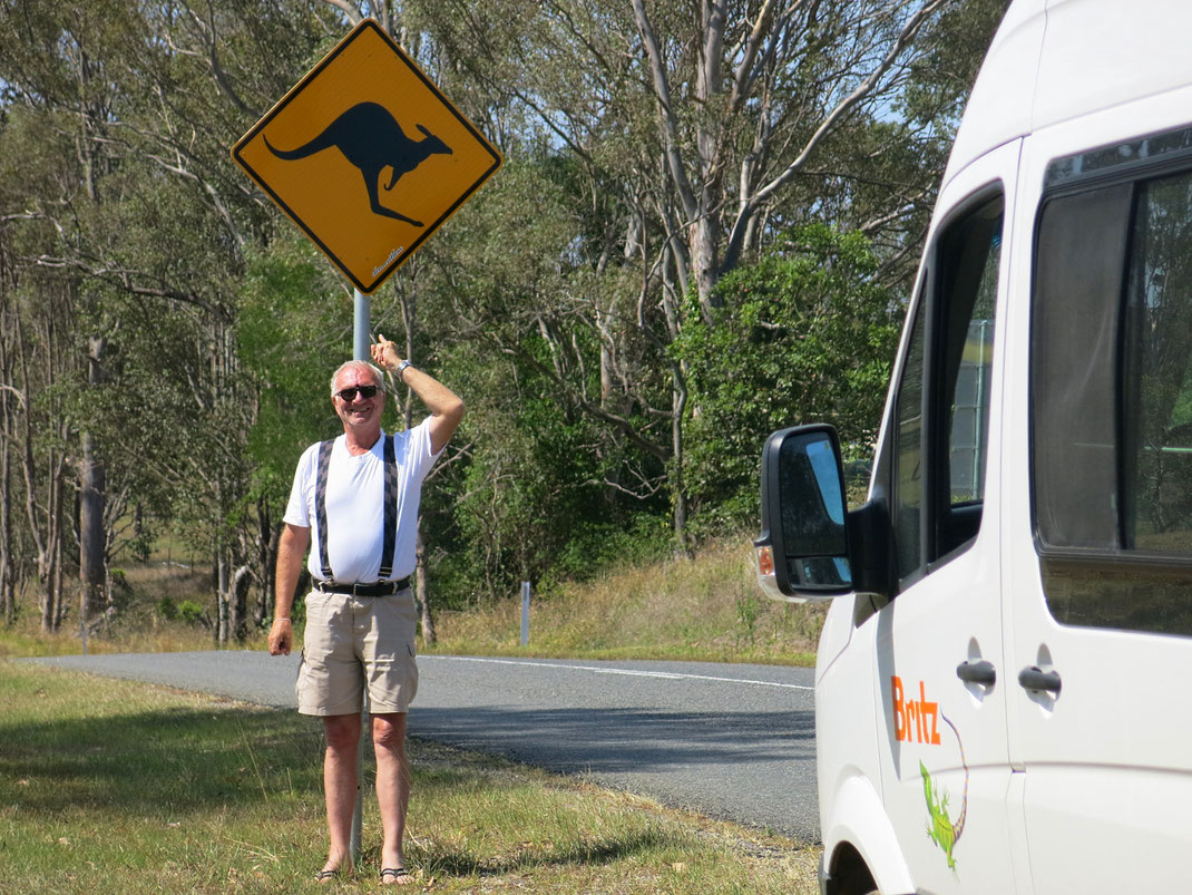 Vanlife in Australien: Über blaue Berge, einsame Strände, Kängurus & die besten Austern der Welt