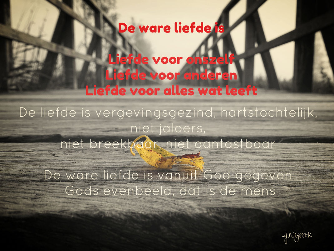 Gedicht Ware Liefde Bijzondere Gedichten En Citaten