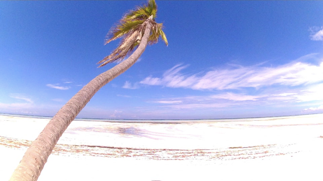 La plage de Paje