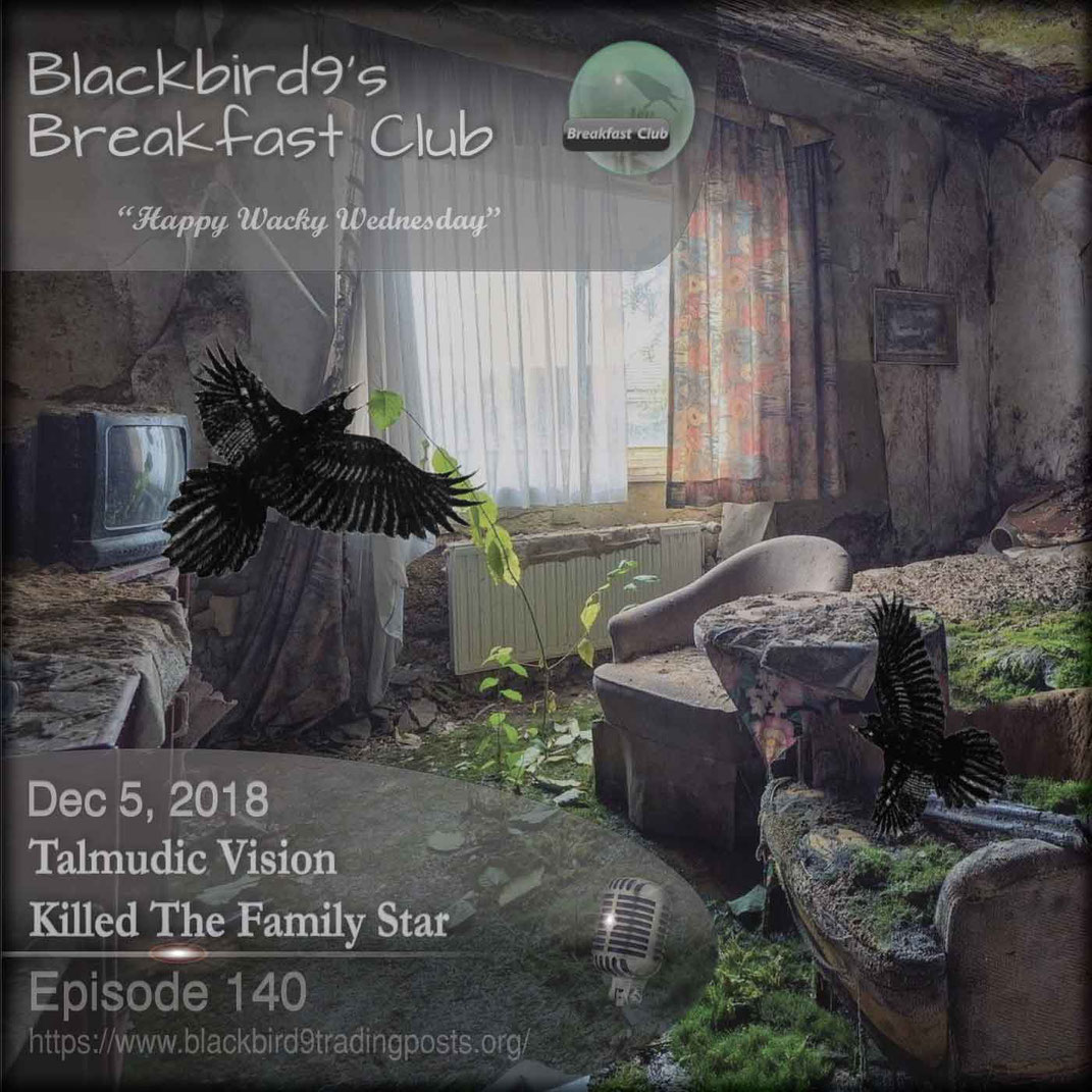 Talmudic Vision Killed The Family Star - Blackbird9