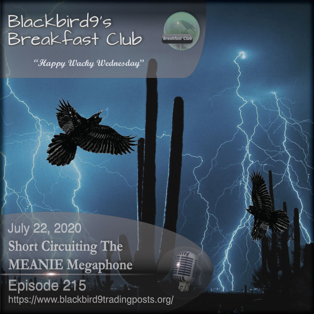 Short Circuiting The MEANIE Megaphone - Blackbird9