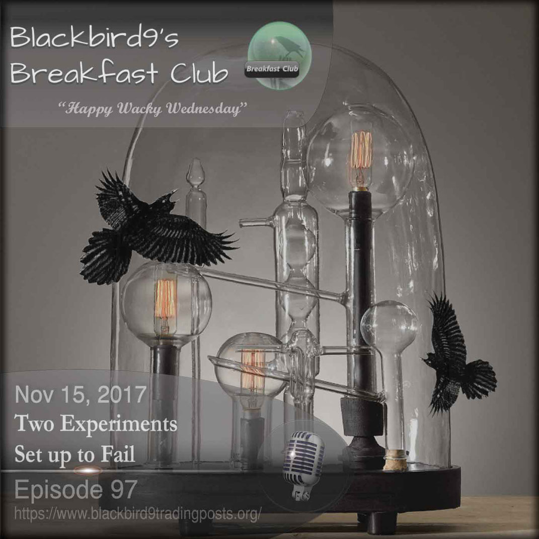 Two Experiments Set up to Fail - Blackbird9