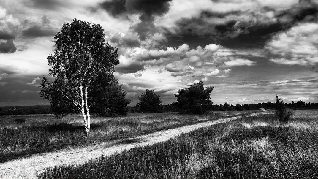 Wanderweg in der Lüneburger Heide