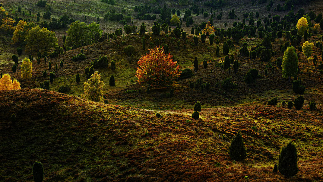 Herbstblut