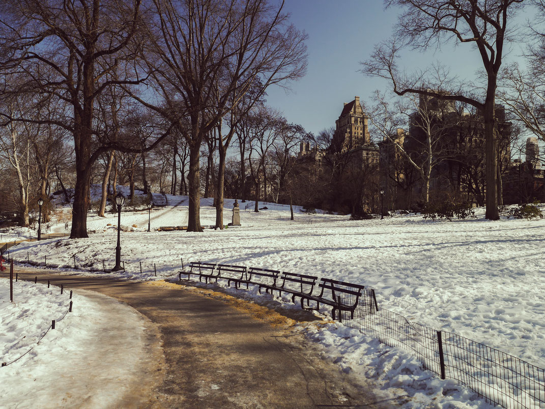 Central Park, New-York