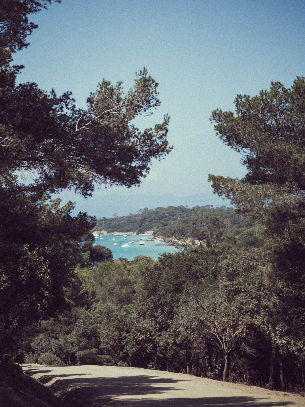 Sur les chemins de Porquerolles