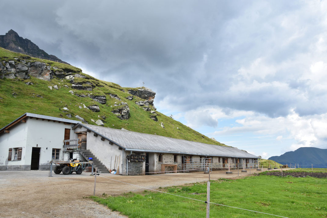 Höhenlage: Die Alp Leis liegt 800 Höhenmeter über dem Dorf Vals.