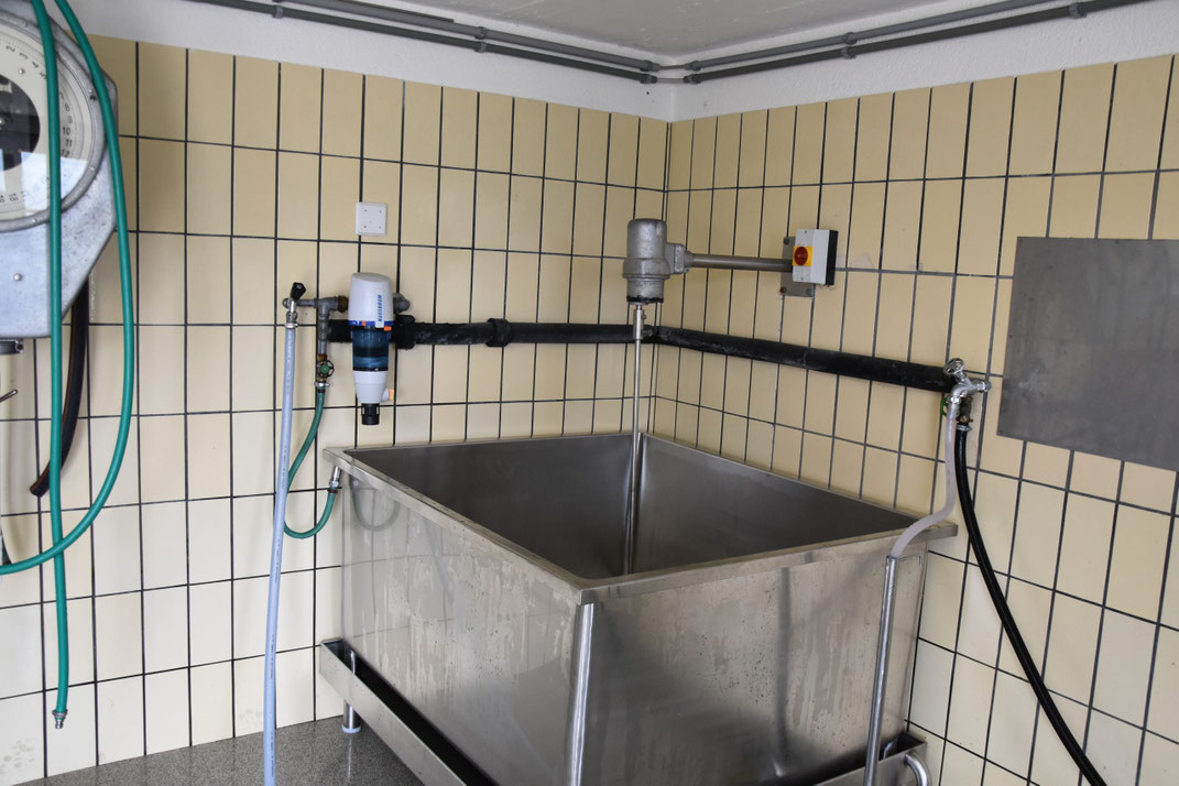 Macht Transporte unnötig; Die Milchleitung führt direkt vom Bassin hinunter ins Tal.